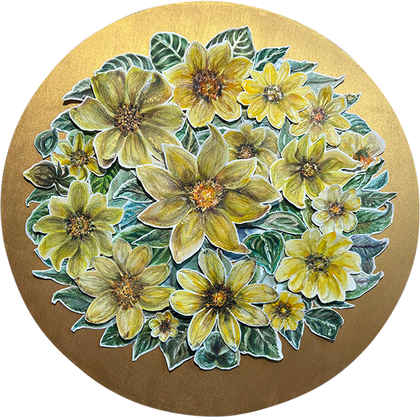 Acocoxochitl - Dahlia pinnata Acocoxochitl - Dahlia pinnata